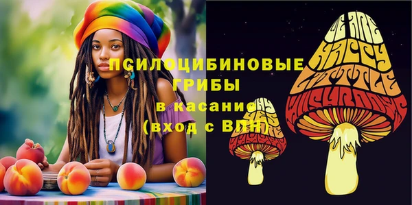 МДПВ Покачи