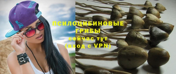 ALPHA PVP Покров