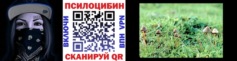 mega   Красный Сулин  площадка состав  Псилоцибиновые грибы ЛСД 