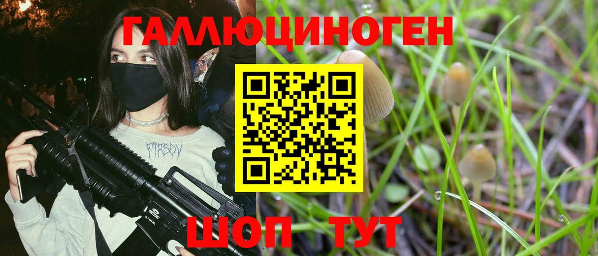 Галлюциногенные грибы мухоморы  Красный Сулин 