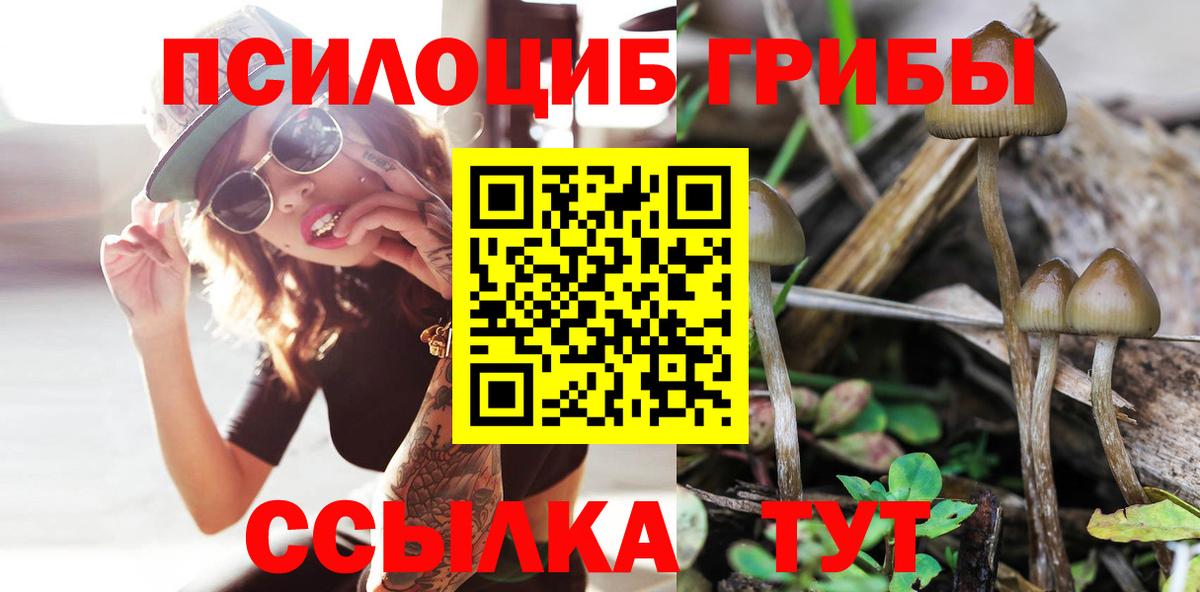 Галлюциногенные грибы мухоморы Красный Сулин