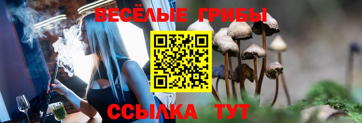 как найти   Галлюциногенные грибы Cubensis  Вход с VPN  Псилоцибиновые грибы мухоморы  Красный Сулин 